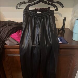 Aritzia Babaton Zedel Black Leather Pants